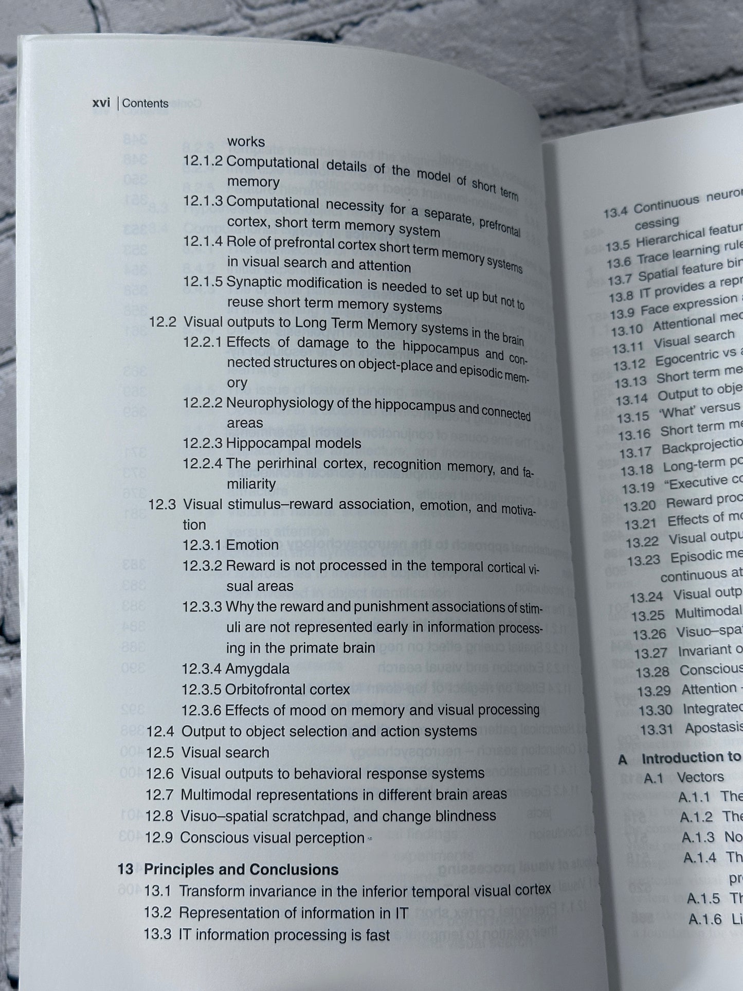 Computational Neuroscience of Vision by Rolls, Deco [2006]