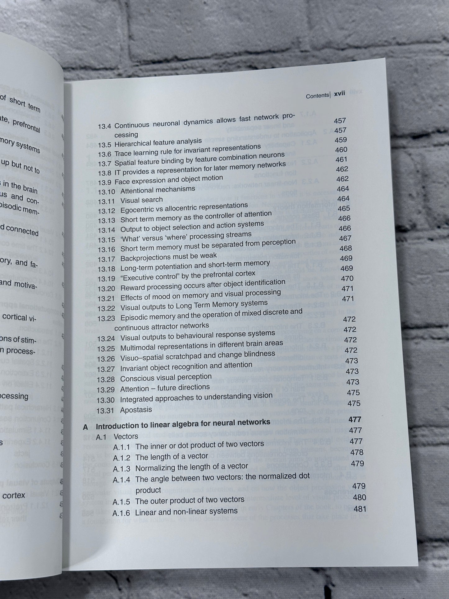 Computational Neuroscience of Vision by Rolls, Deco [2006]