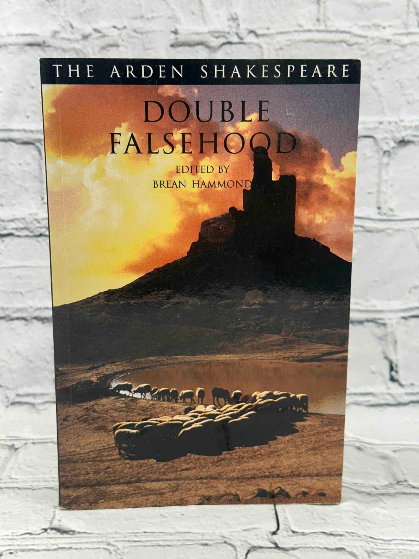 Double Falsehood (The Arden Shakespeare · Third Series)