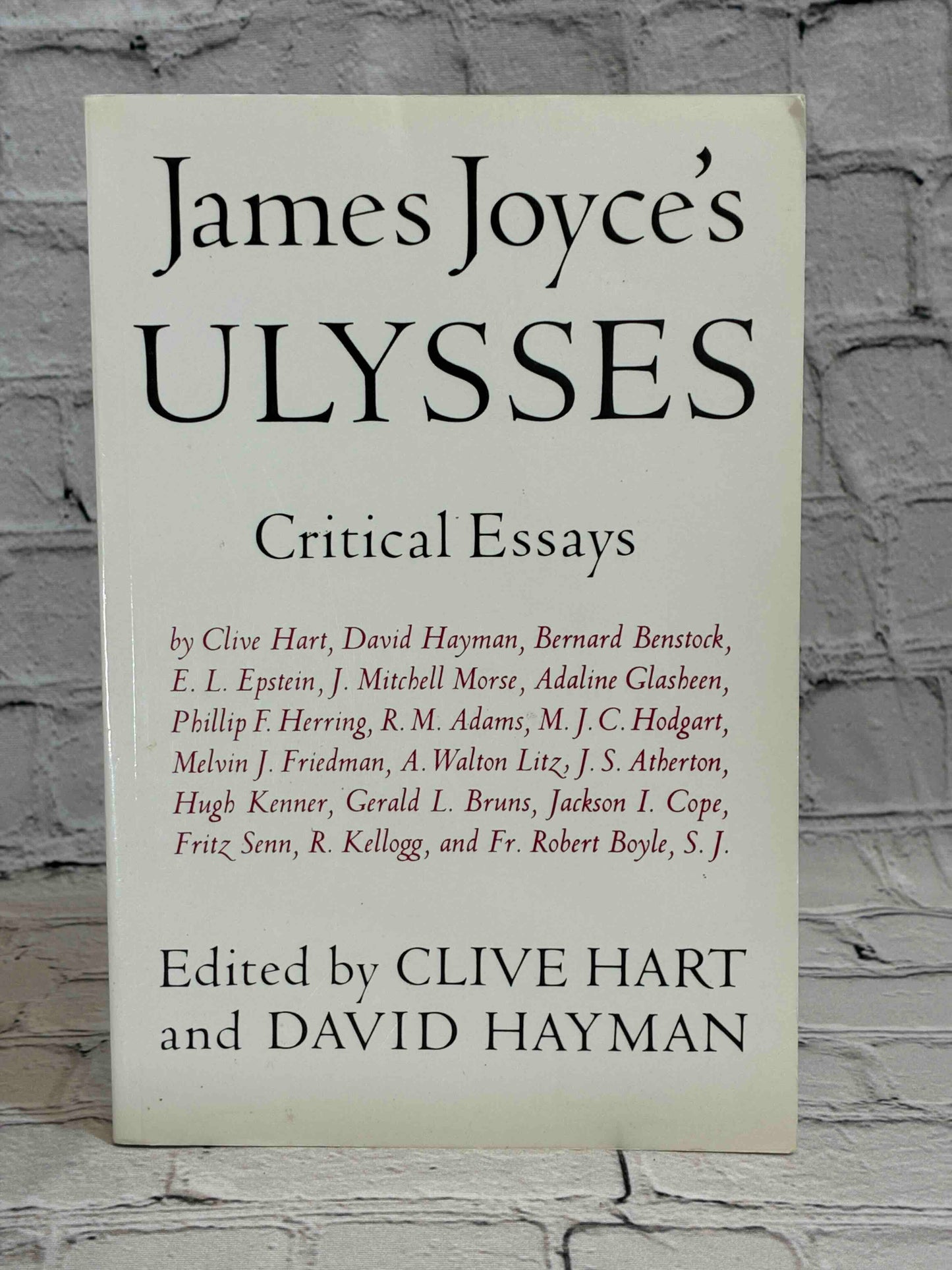 James Joyce's Ulysses: Critical Essays