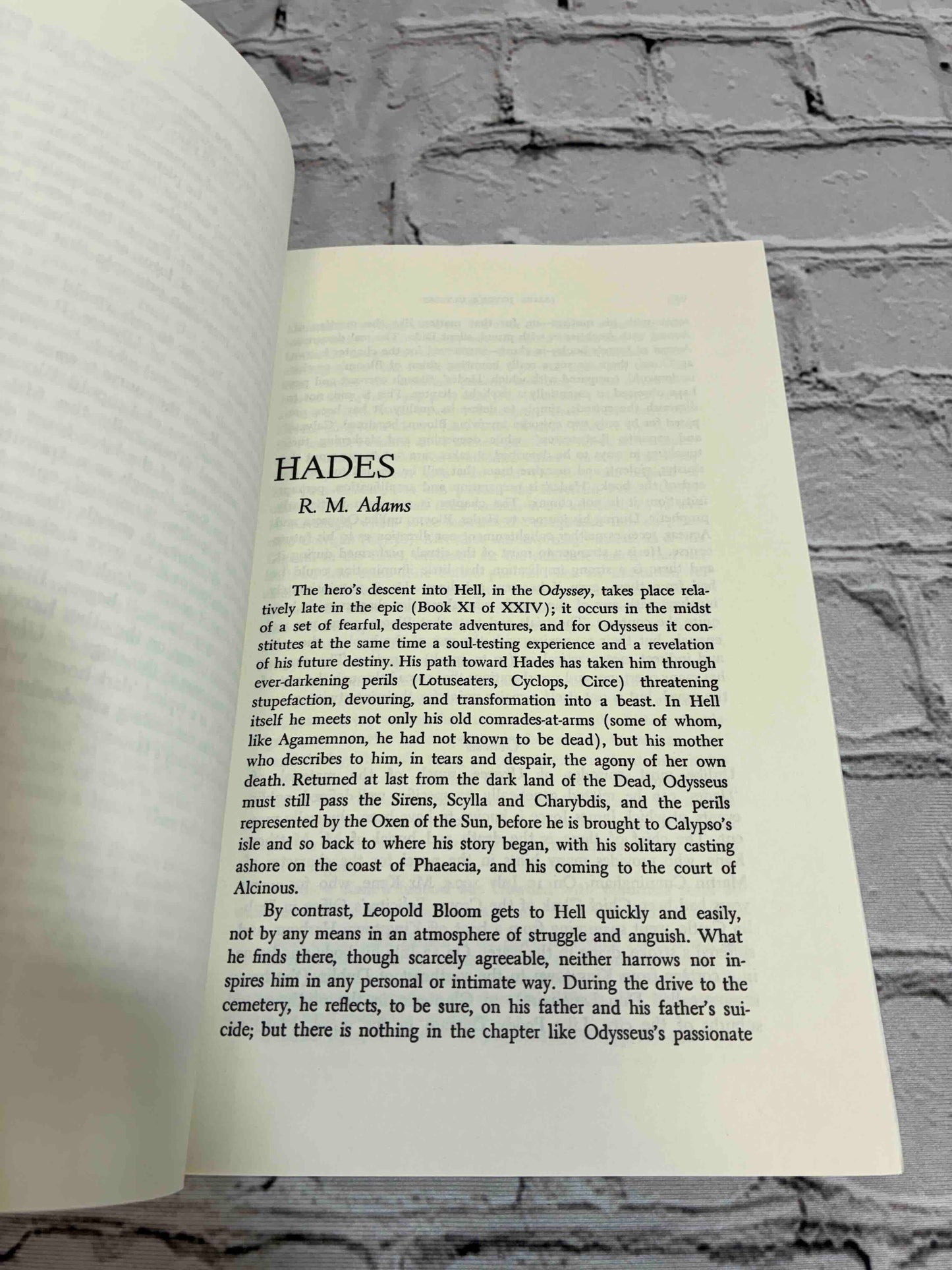 James Joyce's Ulysses: Critical Essays