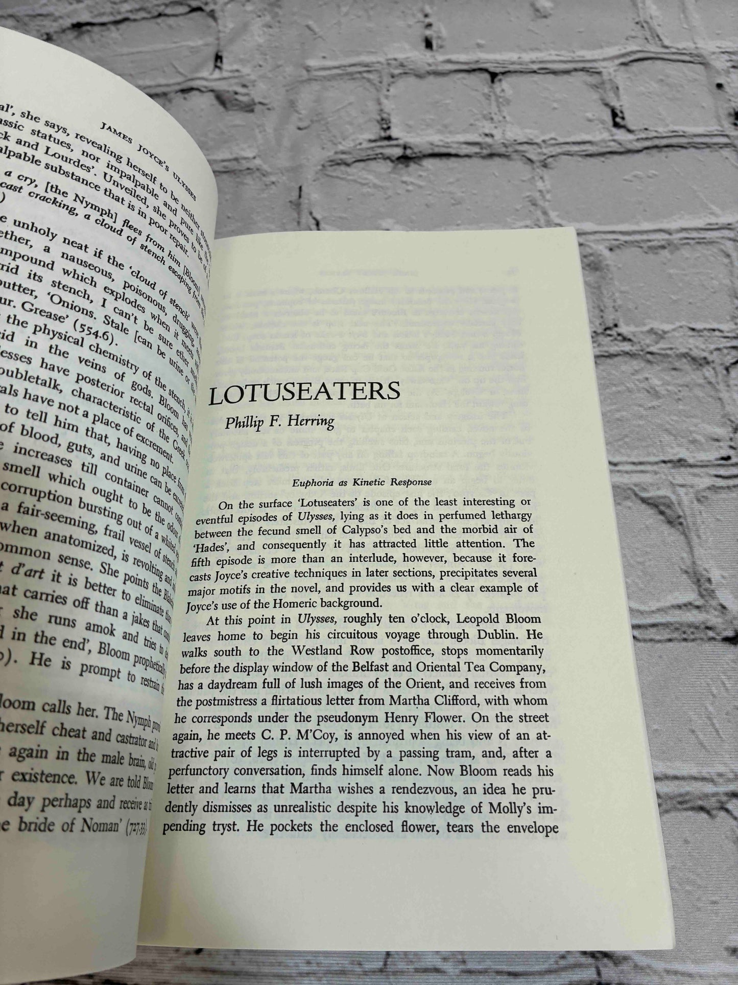 James Joyce's Ulysses: Critical Essays
