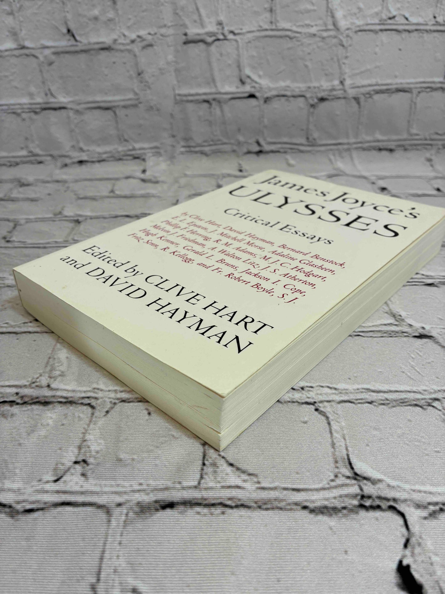 James Joyce's Ulysses: Critical Essays
