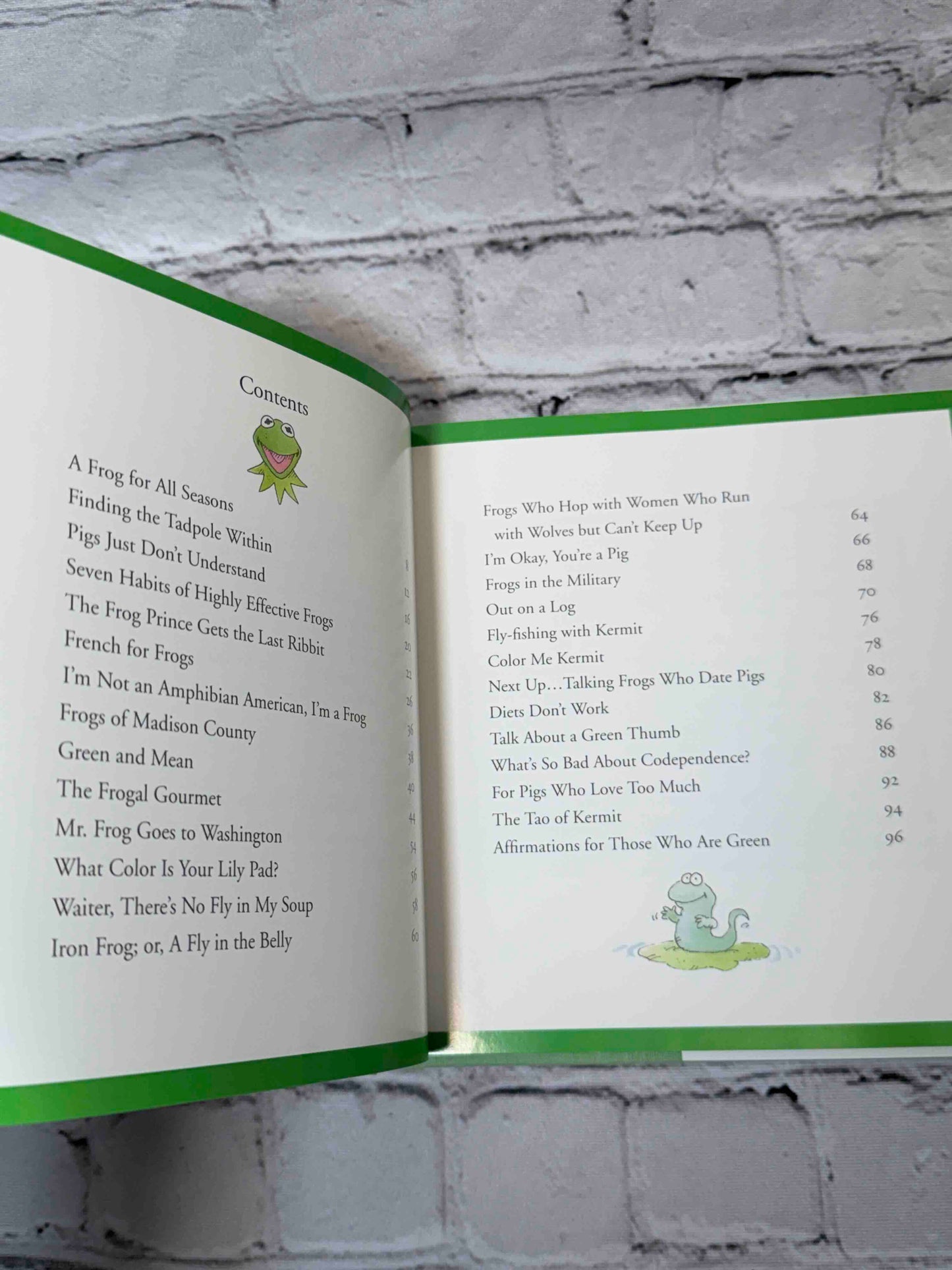 One Frog Can Make a Difference: Kermit's Guide to Life in the '90s