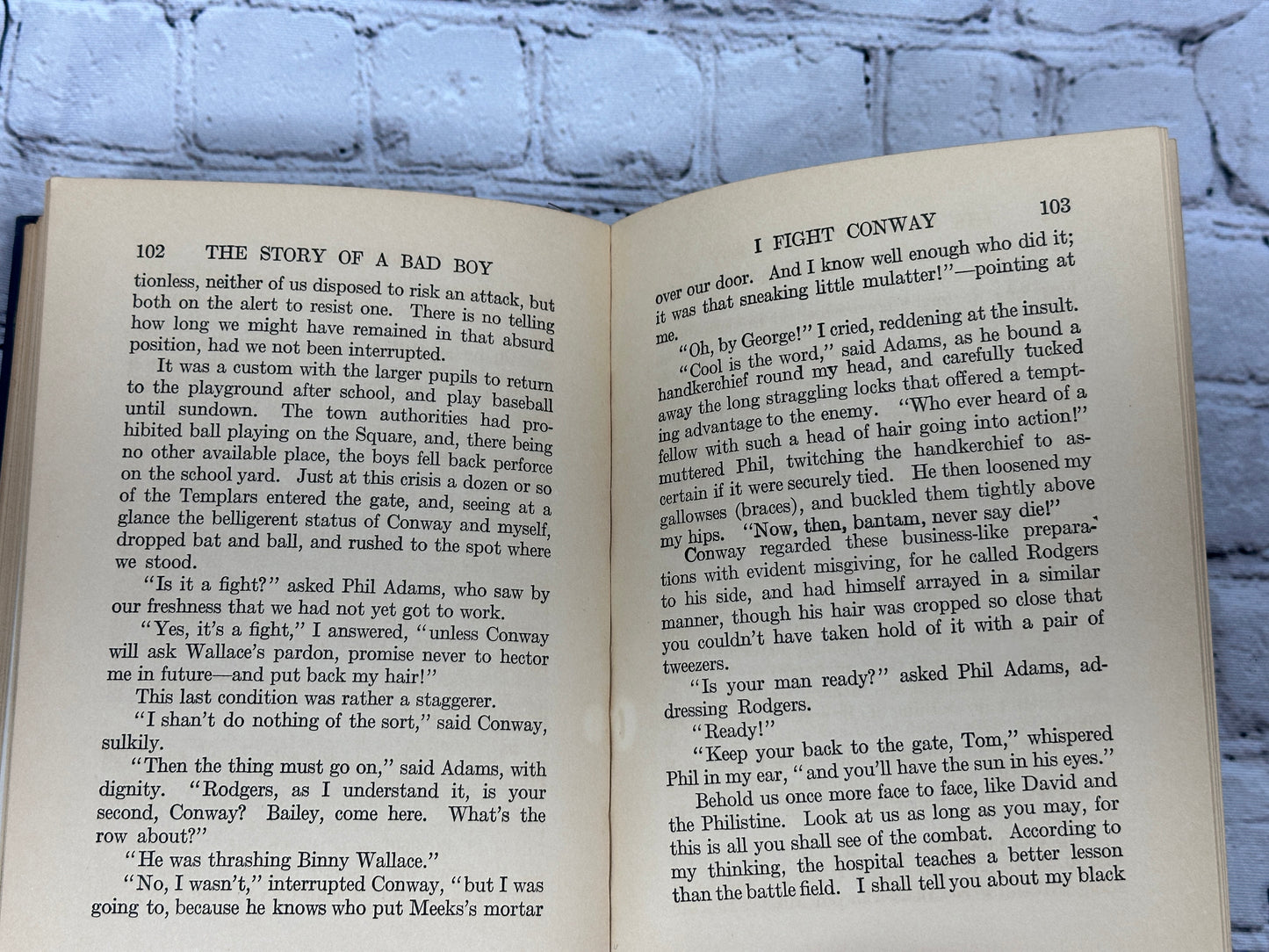 The Story of a Bad Boy by Thomas Bailey Aldrich [1927 · John C Winston Co.]