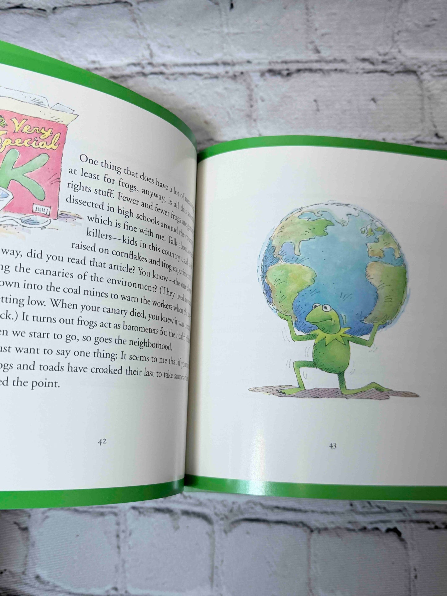 One Frog Can Make a Difference: Kermit's Guide to Life in the '90s