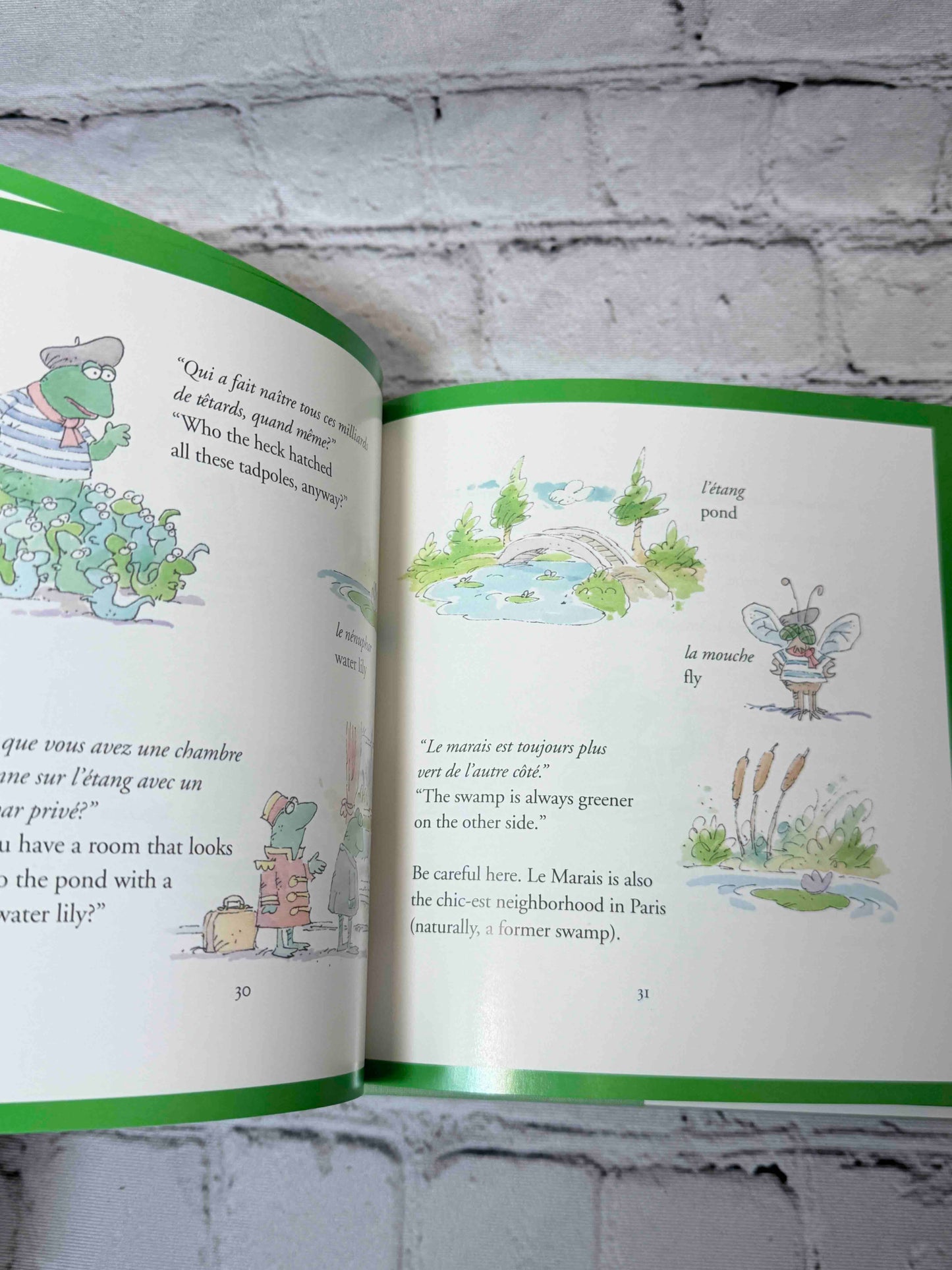 One Frog Can Make a Difference: Kermit's Guide to Life in the '90s