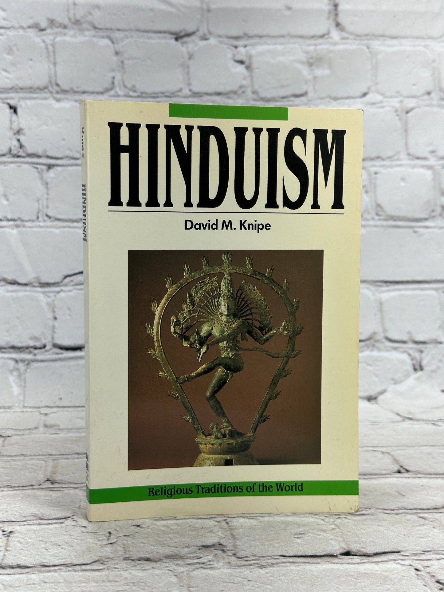 Hinduism : Experiments in the Sacred Paperback David M. Knipe [1991 · 1st Print]