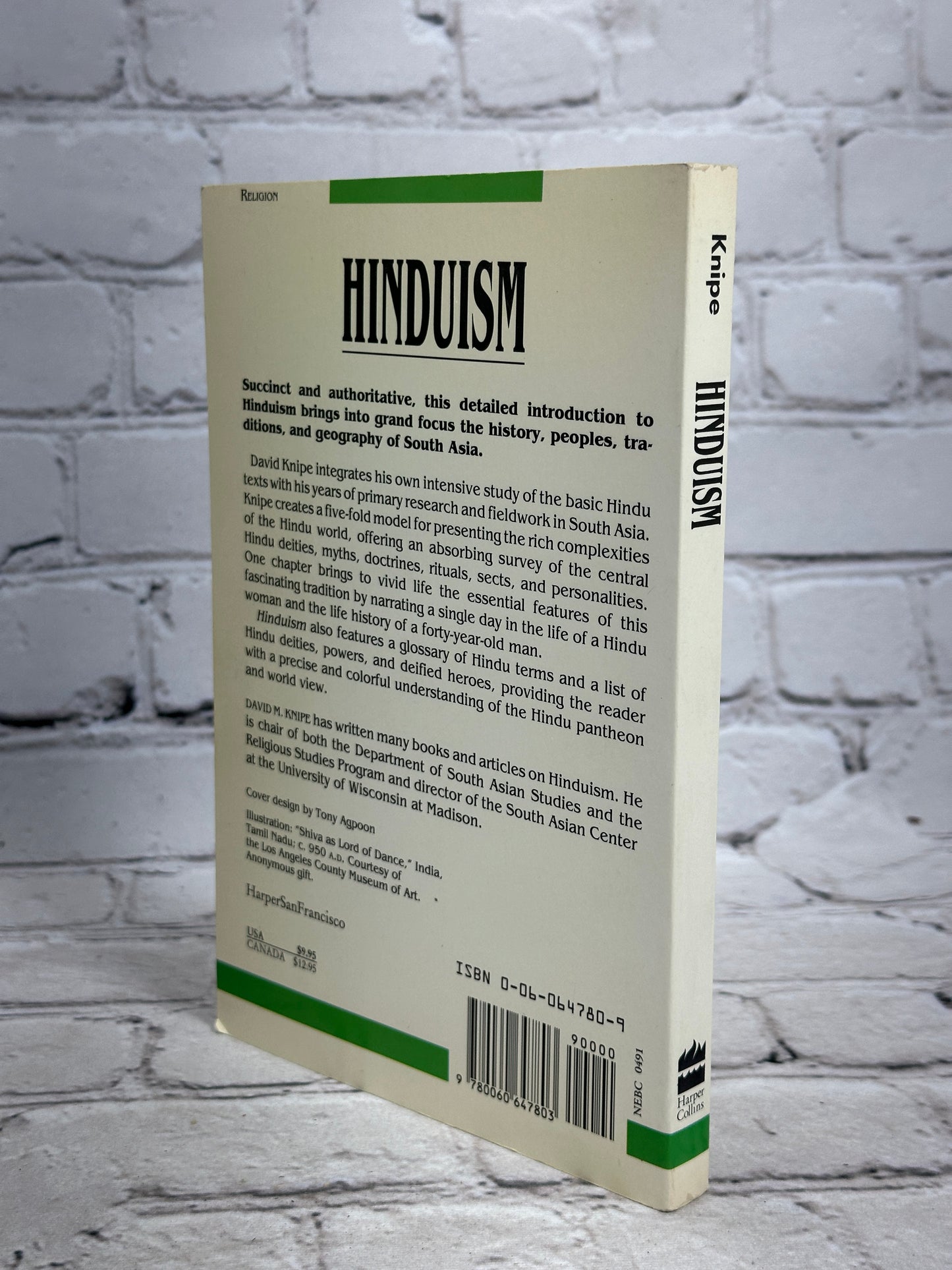 Hinduism : Experiments in the Sacred Paperback David M. Knipe [1991 · 1st Print]