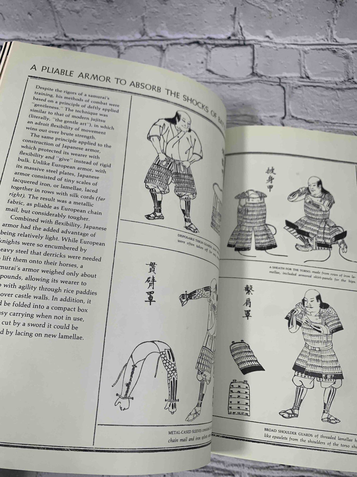 Great Ages of Man: Early Japan