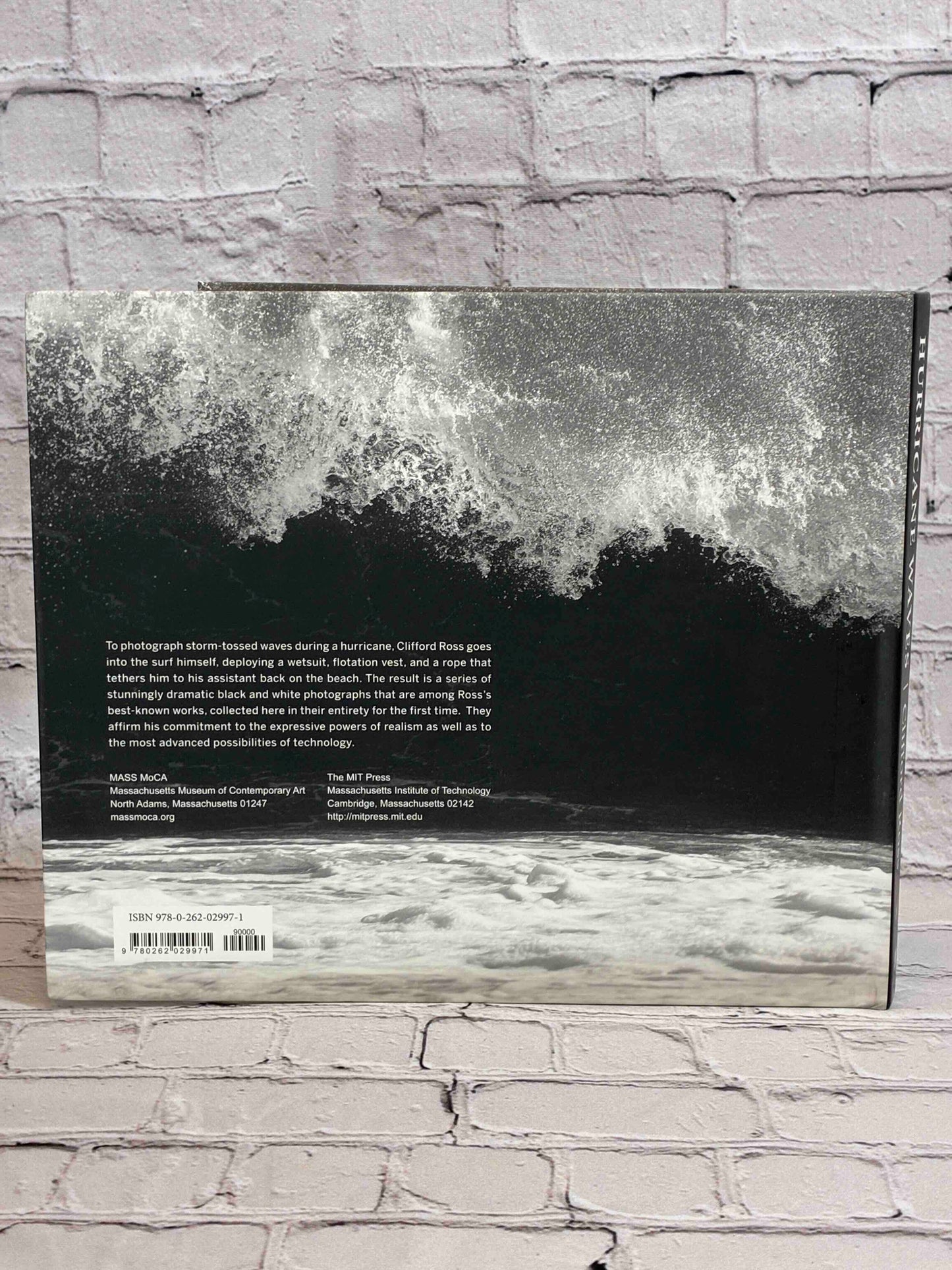 Hurricane Waves