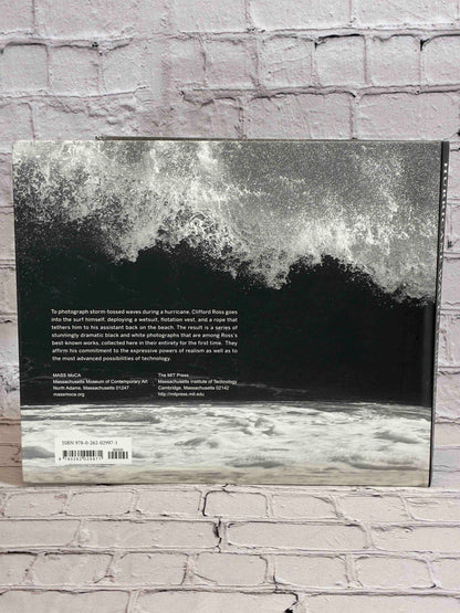 Hurricane Waves