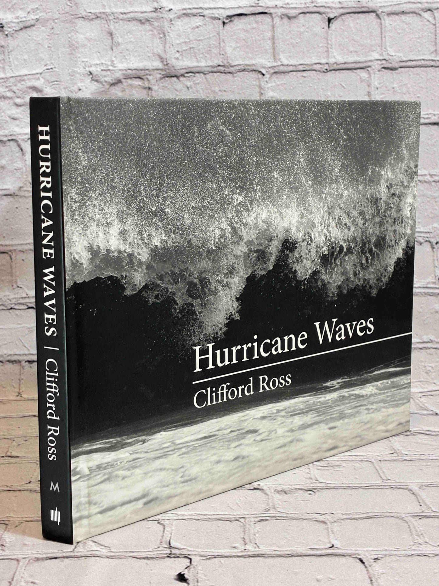 Hurricane Waves