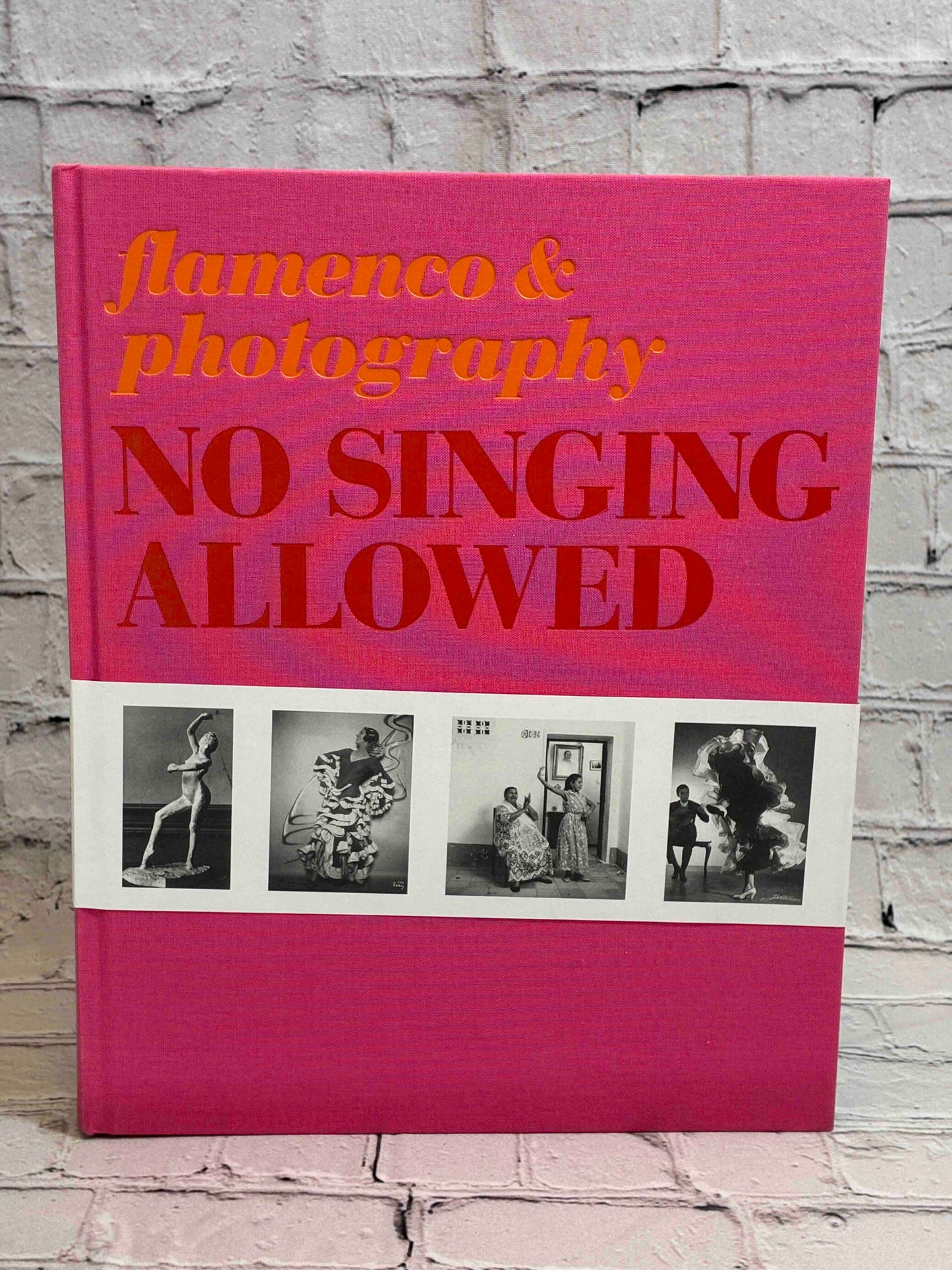 No Singing Allowed Flamenco and Photography