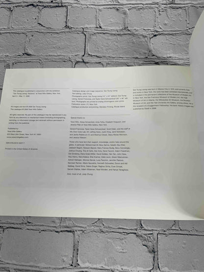 Sze Tsung Leong: Horizons