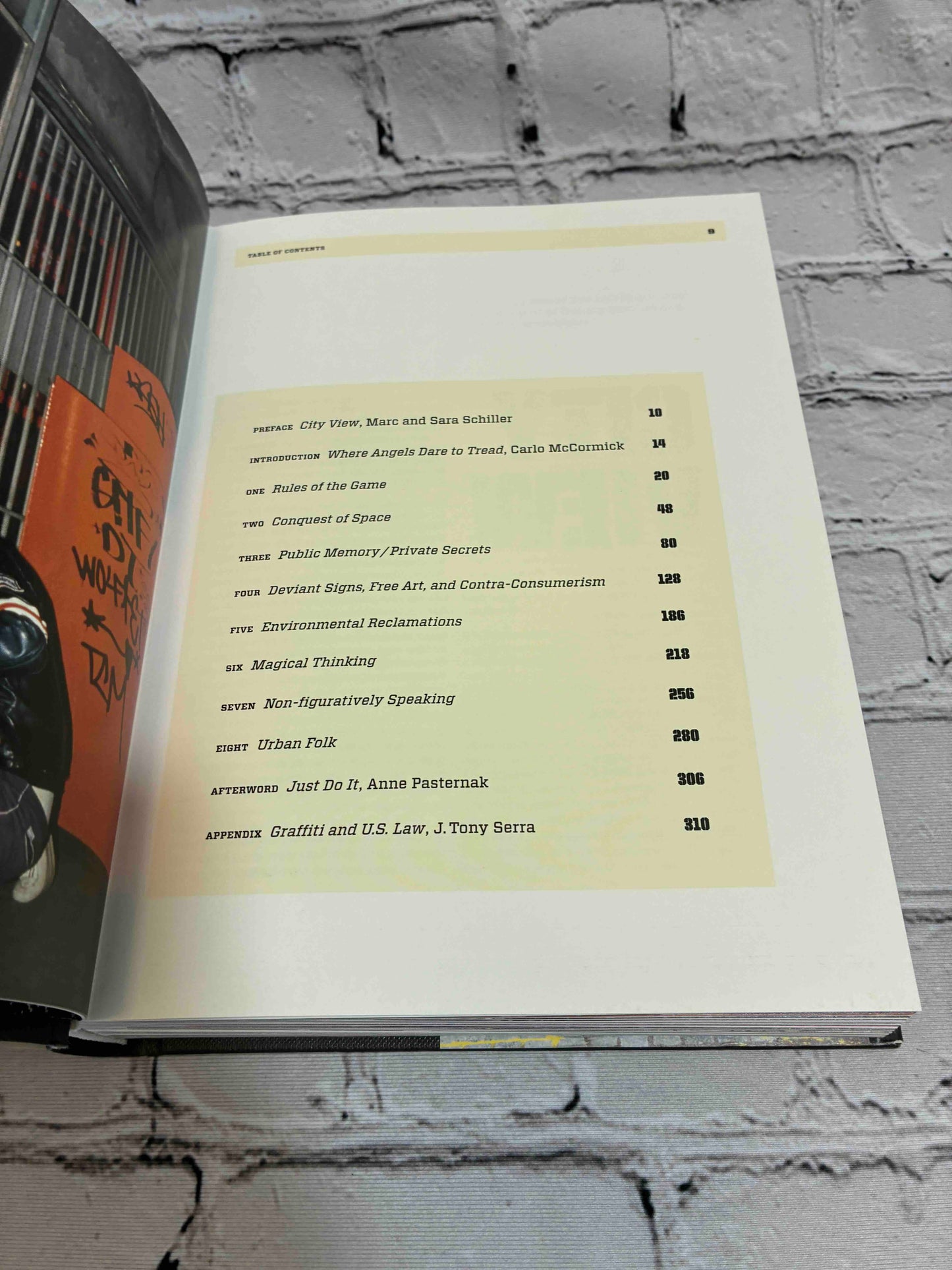Trespass. A History of Uncommissioned Urban Art