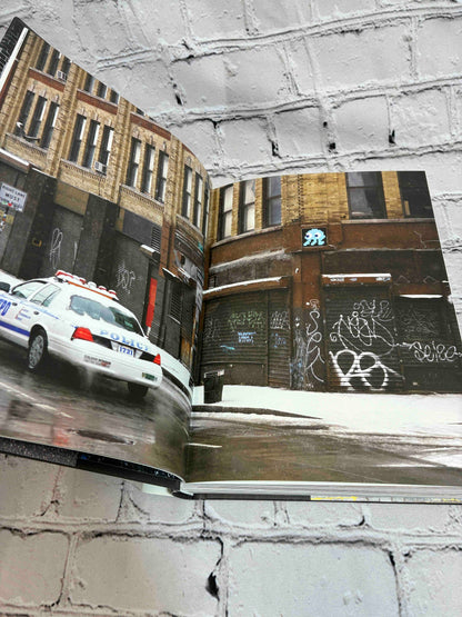 Trespass. A History of Uncommissioned Urban Art