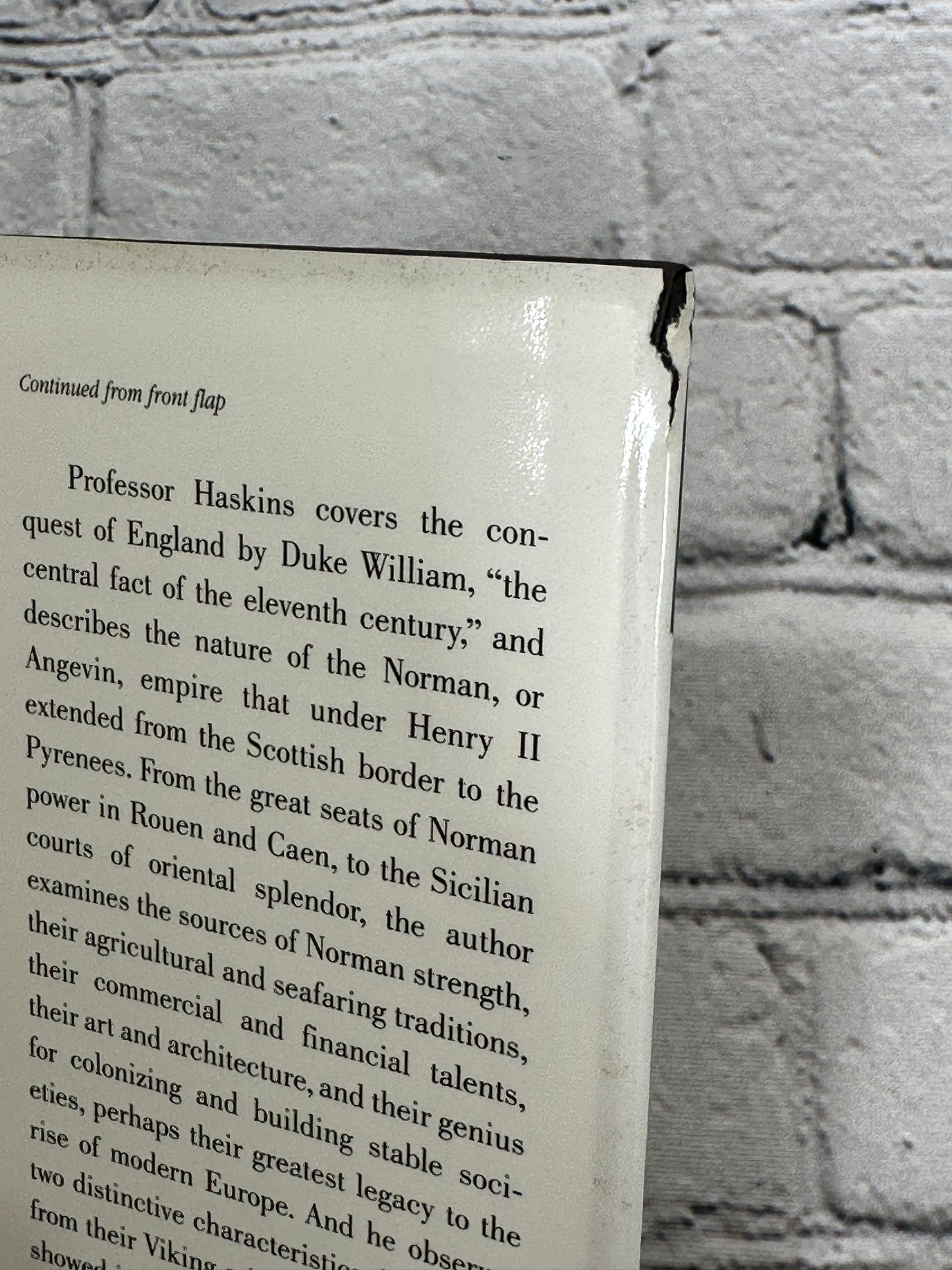 The Normans in European history by Charles Homer Haskins [1995 · 1st Printing]