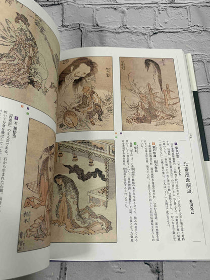 Hokusai Yokai Hyakkei: 100 Scenes of Japanese Ghost and the Supernatural