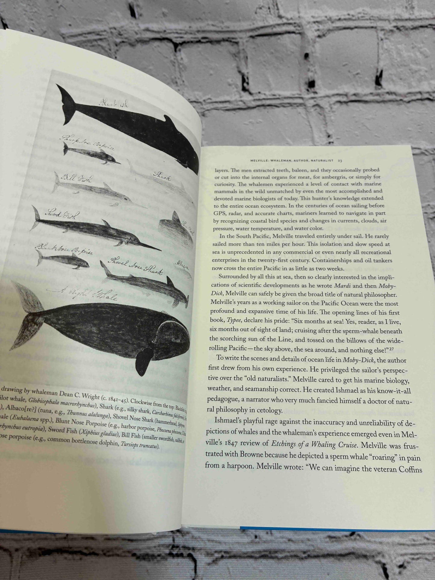 Ahab's Rolling Sea: A Natural History of Moby-Dick