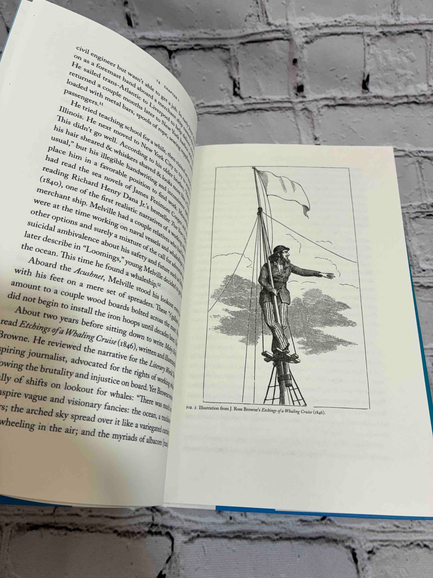 Ahab's Rolling Sea: A Natural History of Moby-Dick