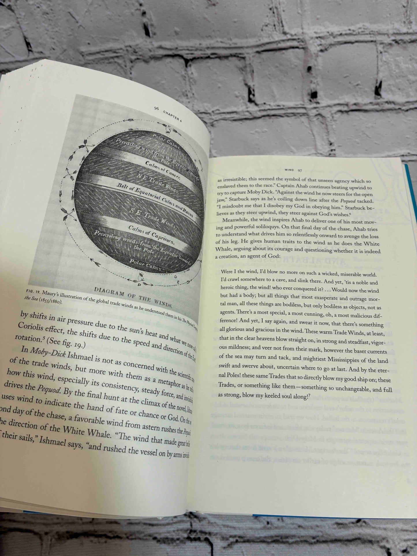 Ahab's Rolling Sea: A Natural History of Moby-Dick