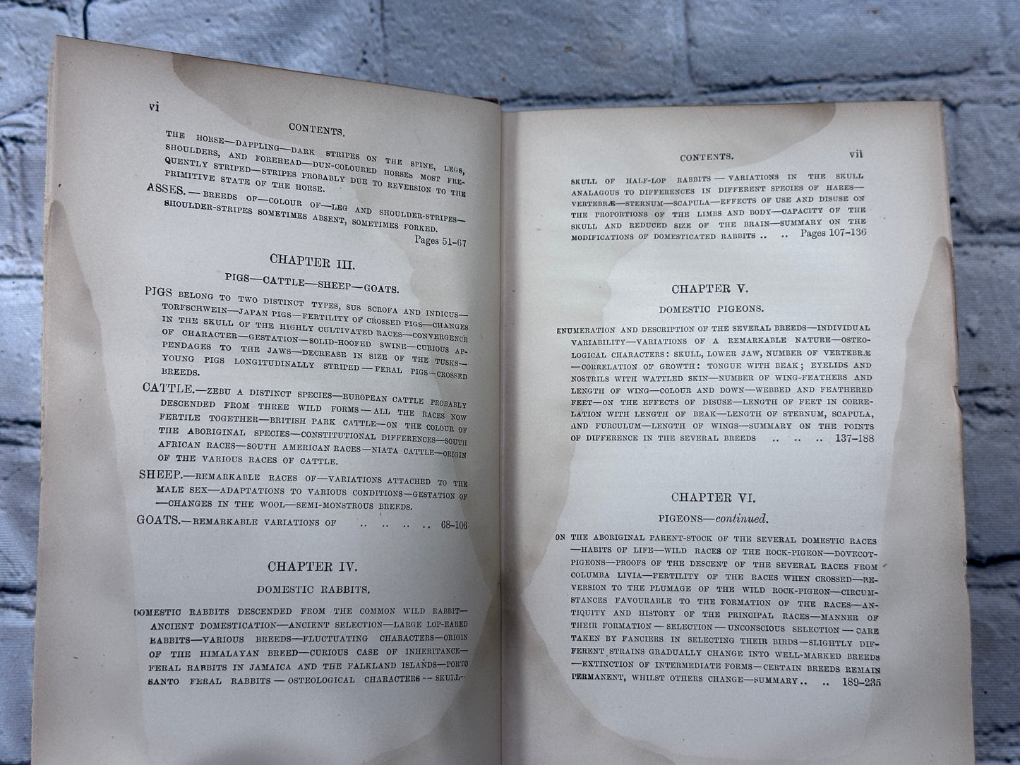 Variation of Animals and Plants Under Domestication By Darwin [Vol 1 · 1898]