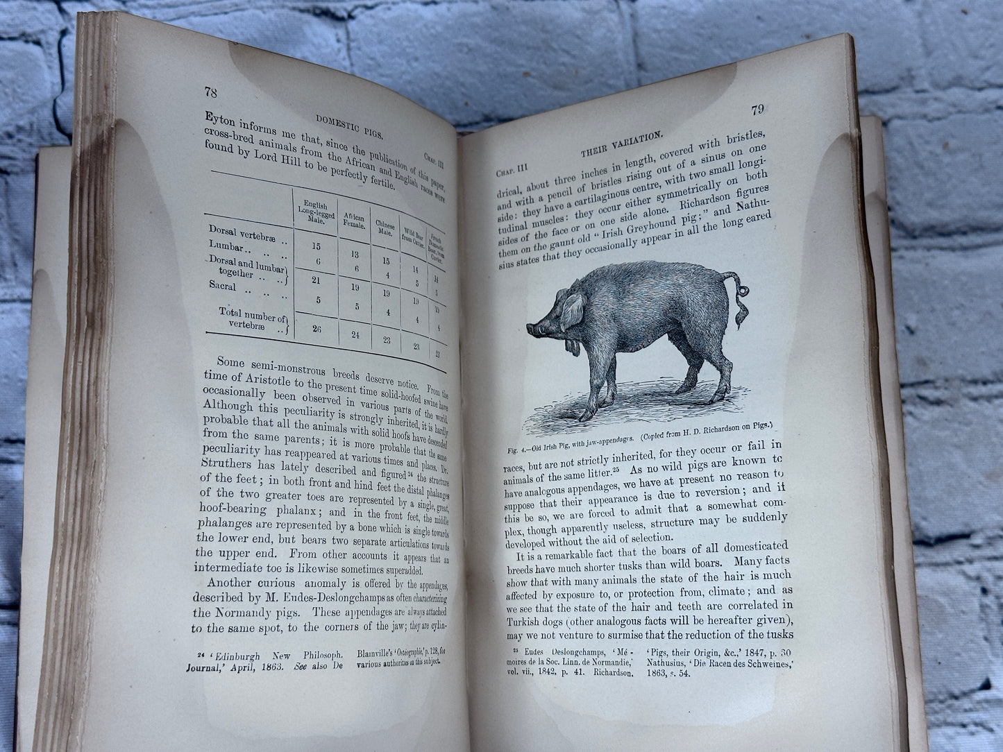 Variation of Animals and Plants Under Domestication By Darwin [Vol 1 · 1898]