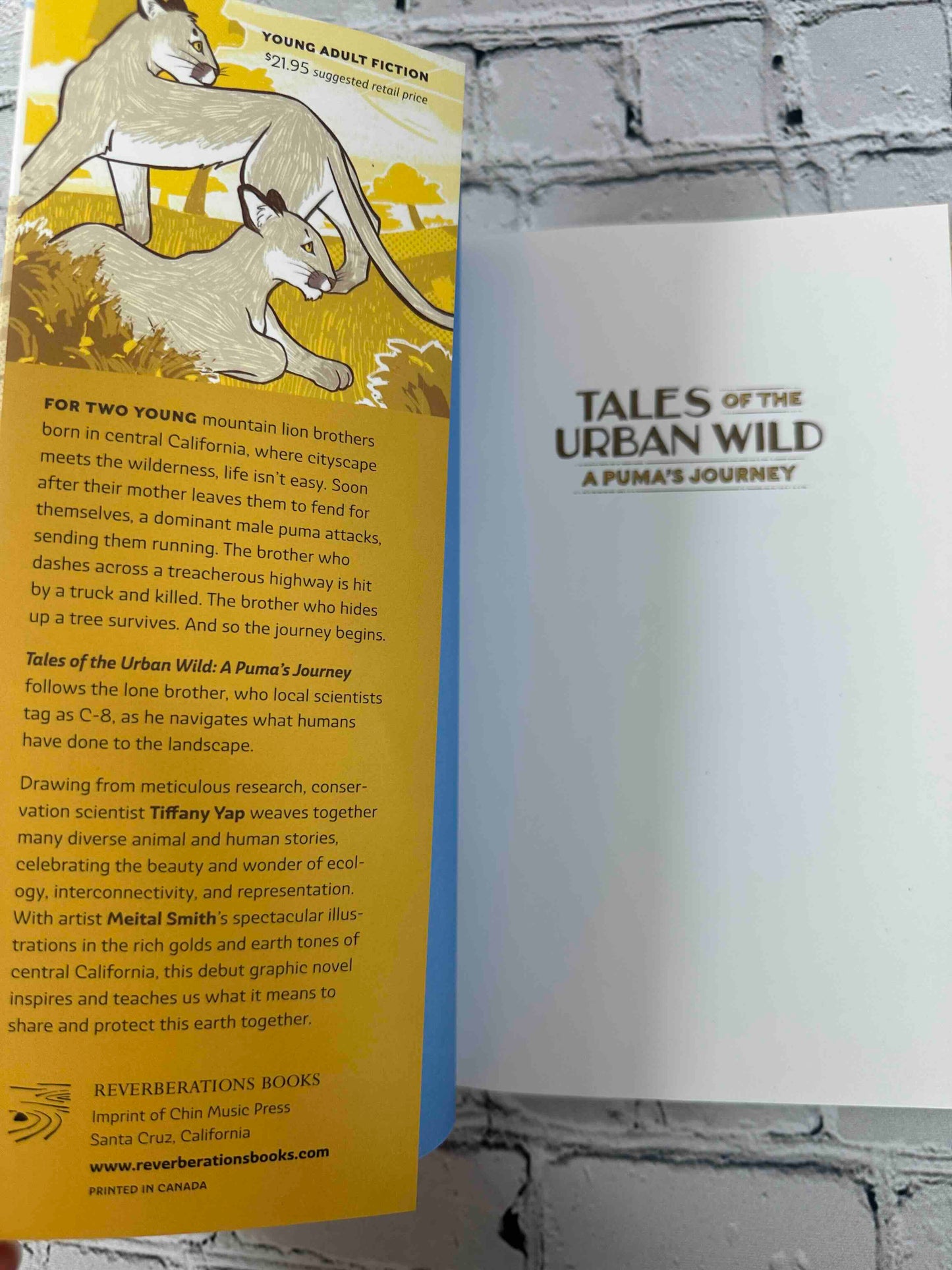 Tales of the Urban Wild: A Puma's Journey