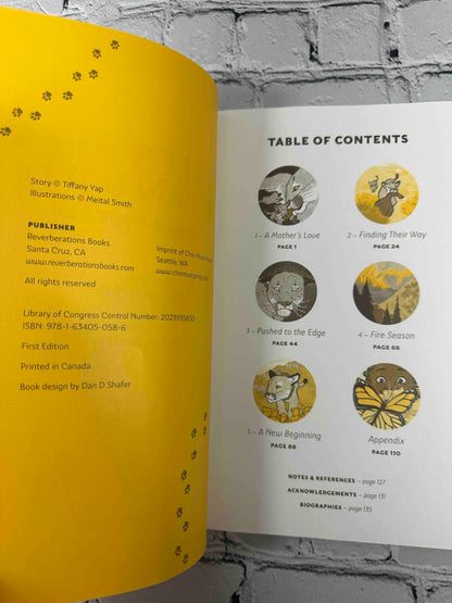 Tales of the Urban Wild: A Puma's Journey