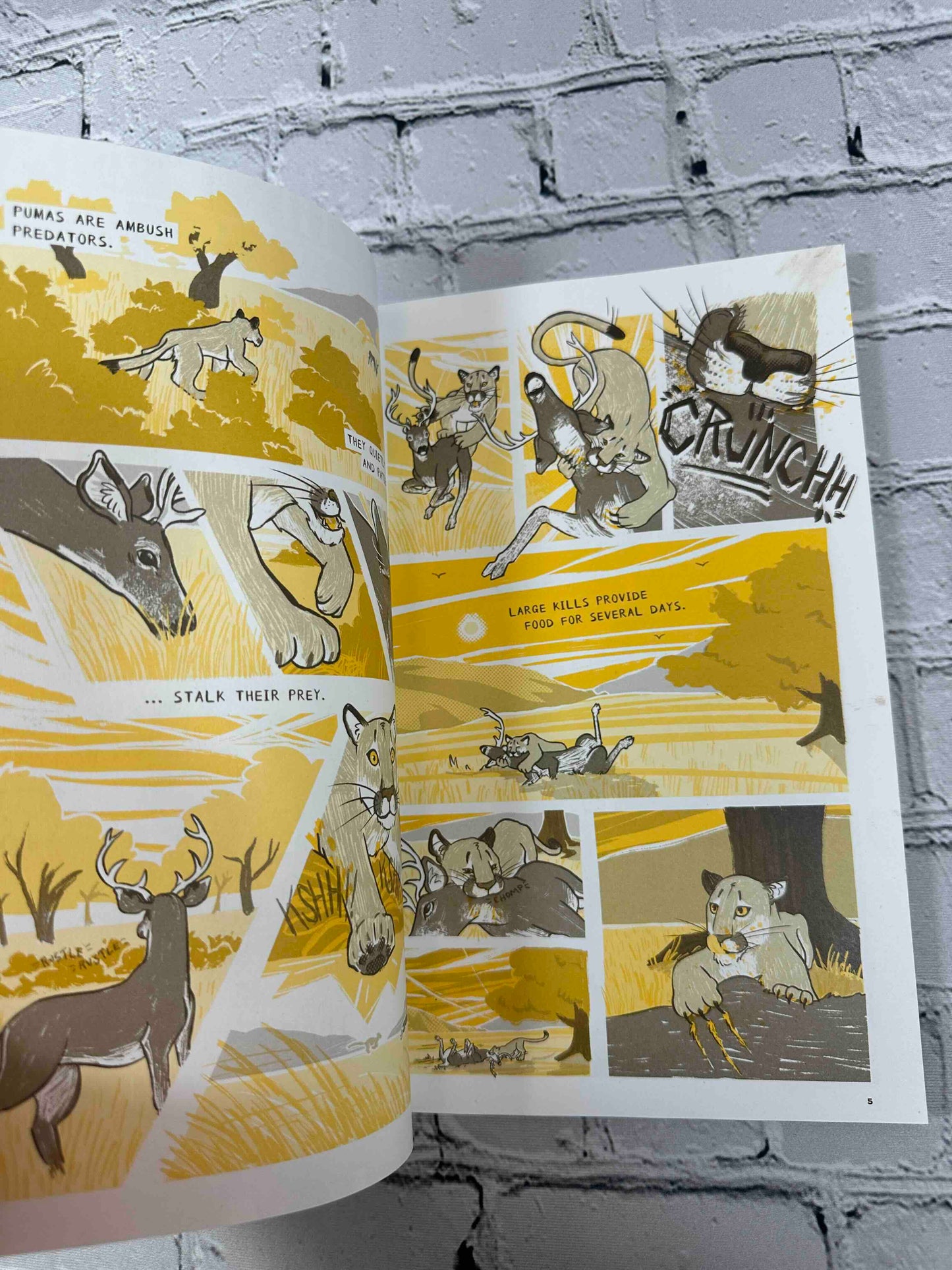 Tales of the Urban Wild: A Puma's Journey