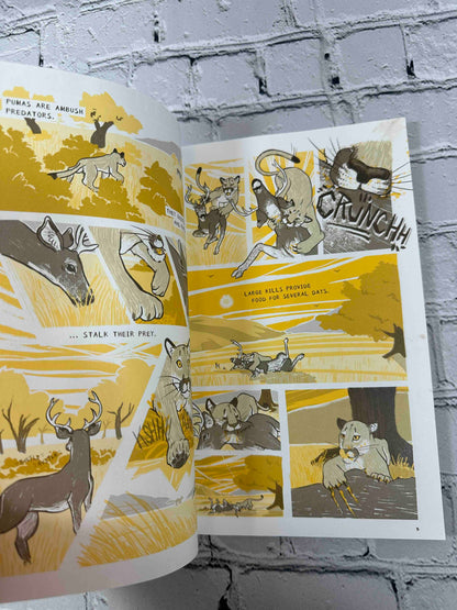 Tales of the Urban Wild: A Puma's Journey