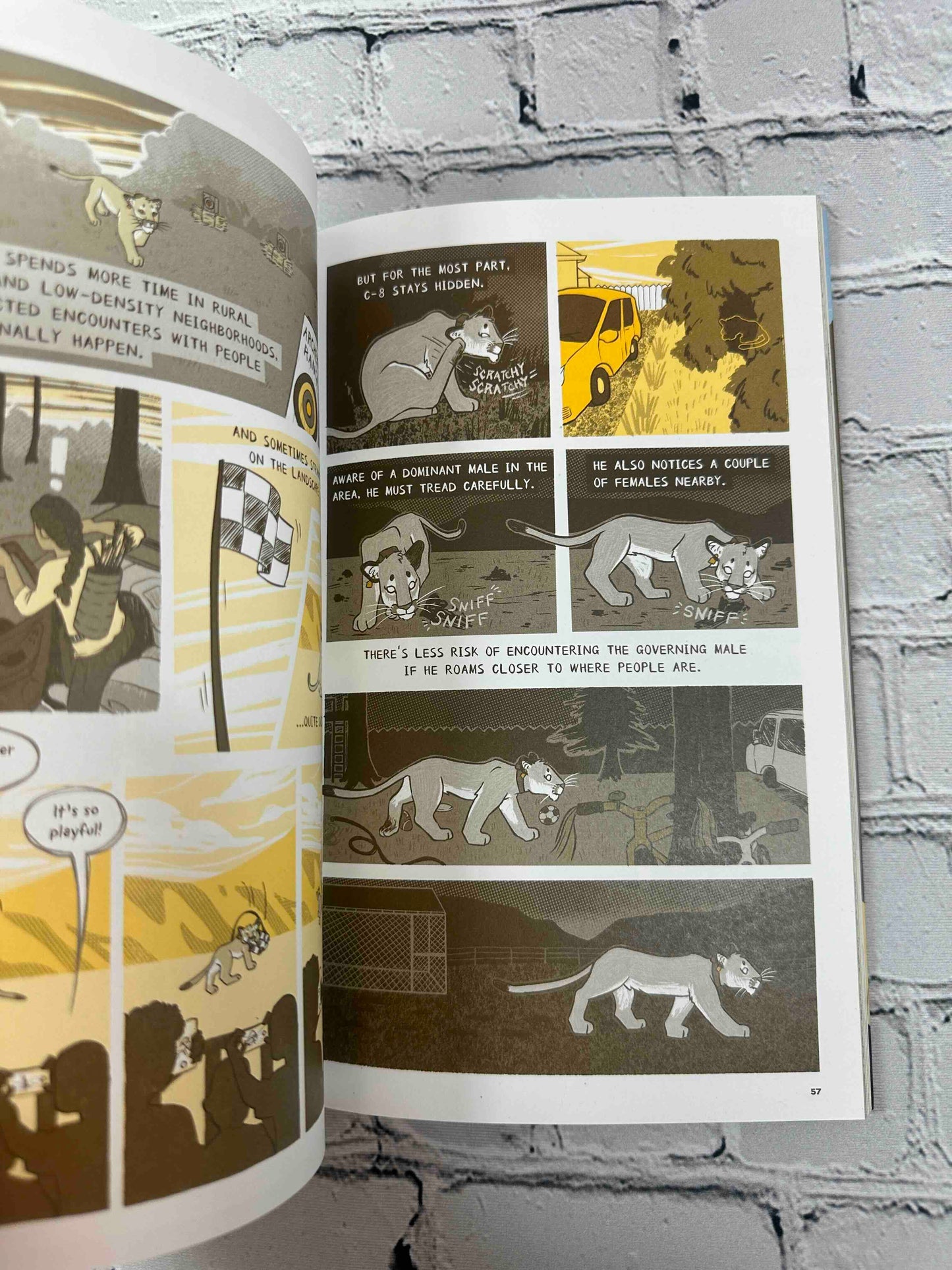 Tales of the Urban Wild: A Puma's Journey