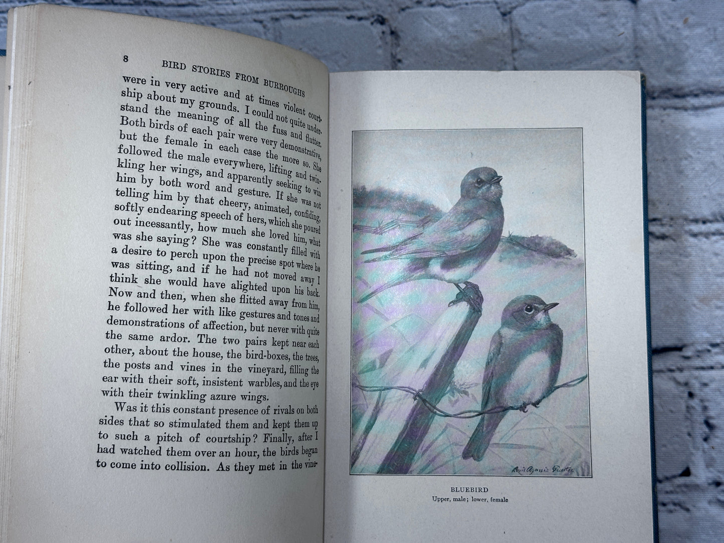 Bird Stories From Burroughs By John Burroughs [Riverside Press · 1923]