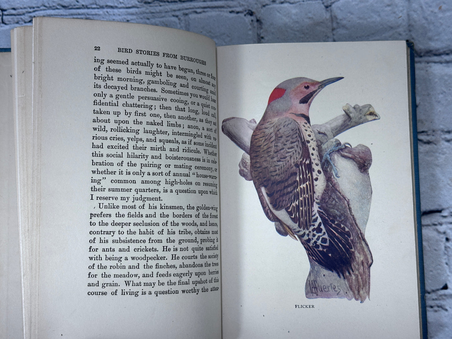 Bird Stories From Burroughs By John Burroughs [Riverside Press · 1923]