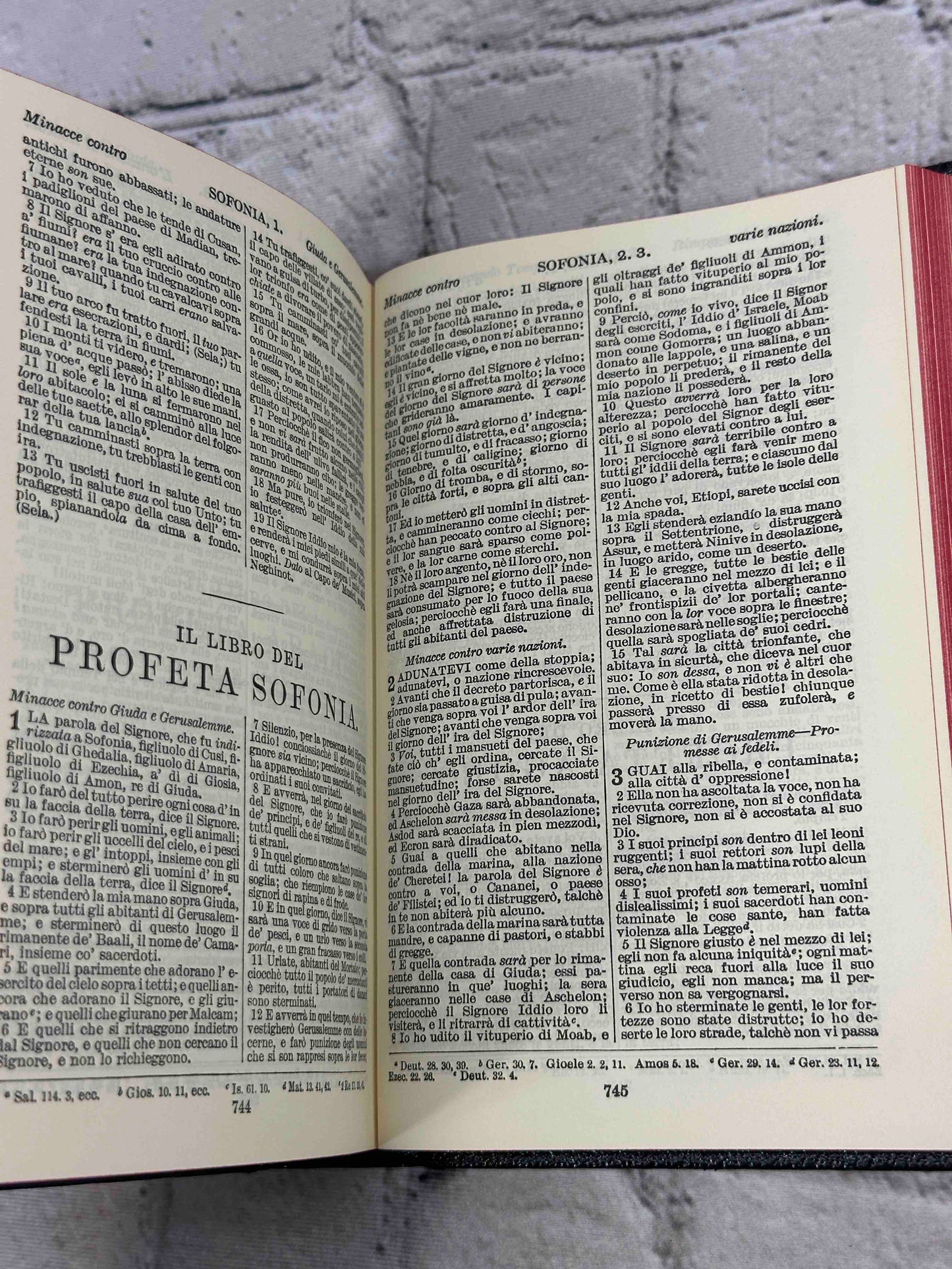 La Sacra Biblia (The Holy Bible)