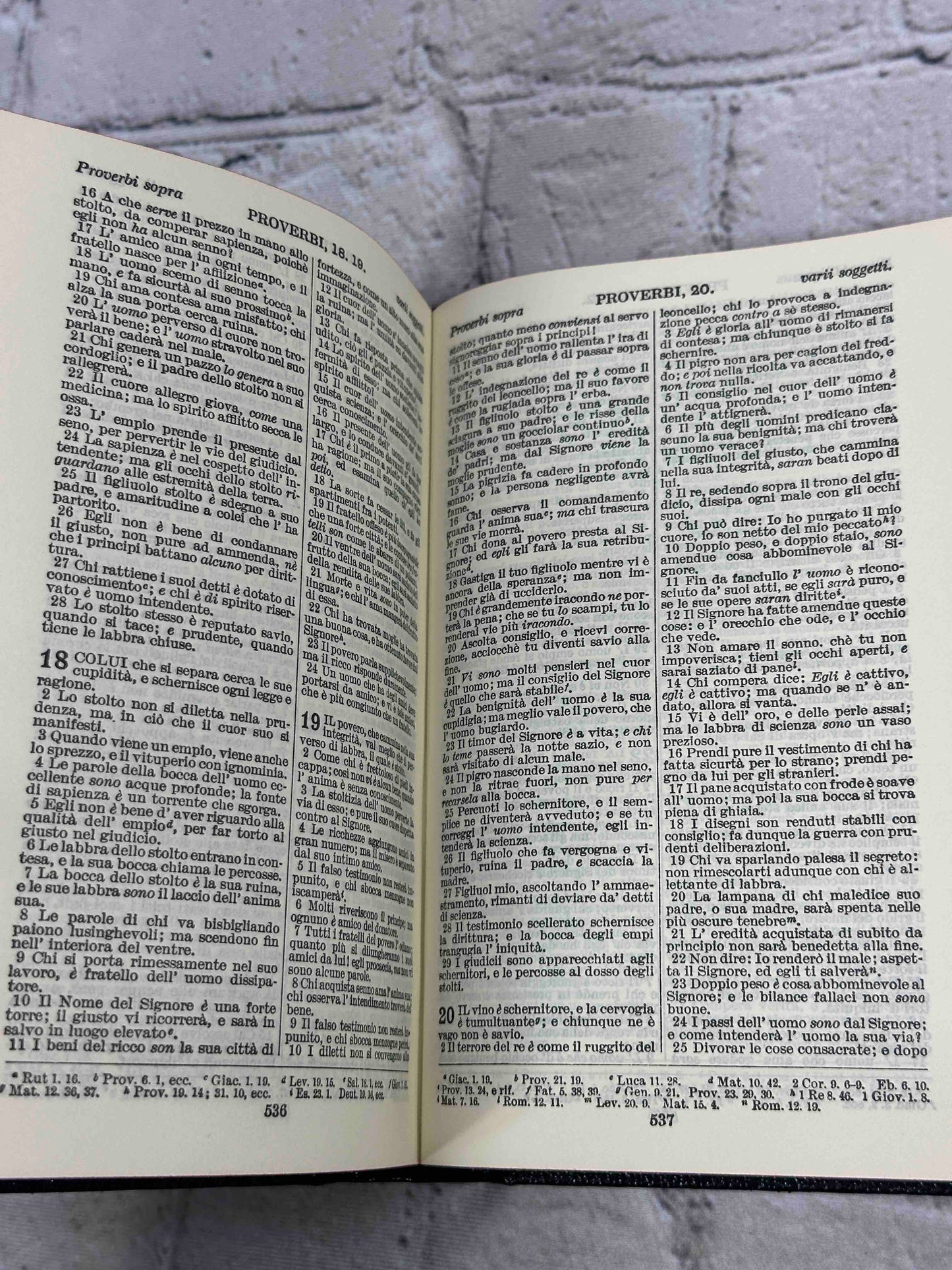 La Sacra Biblia (The Holy Bible)