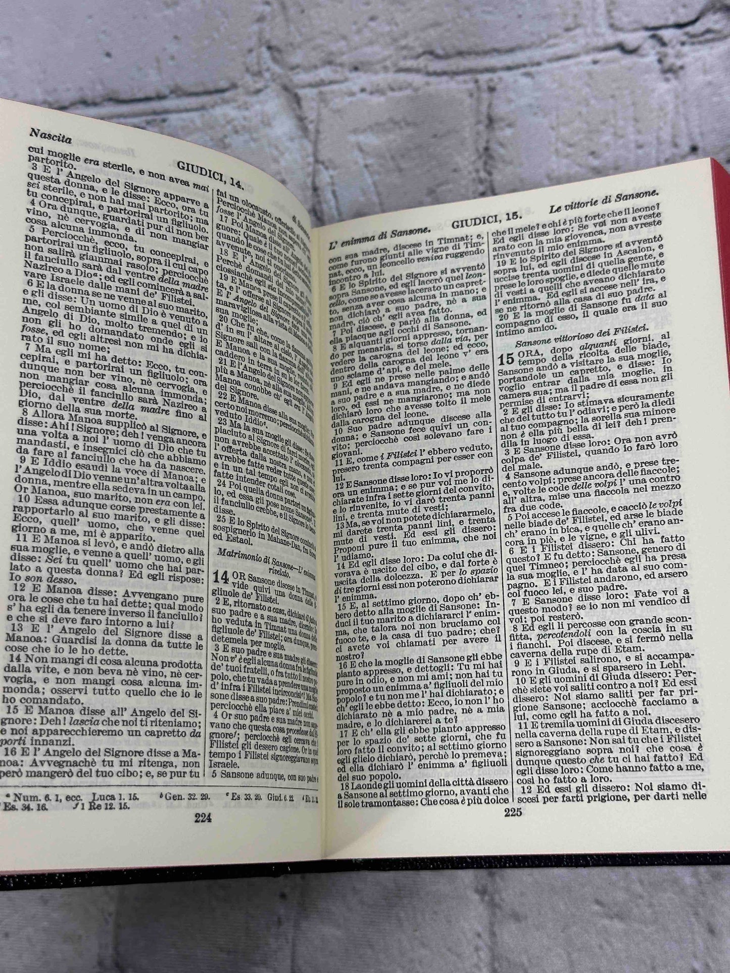 La Sacra Biblia (The Holy Bible)