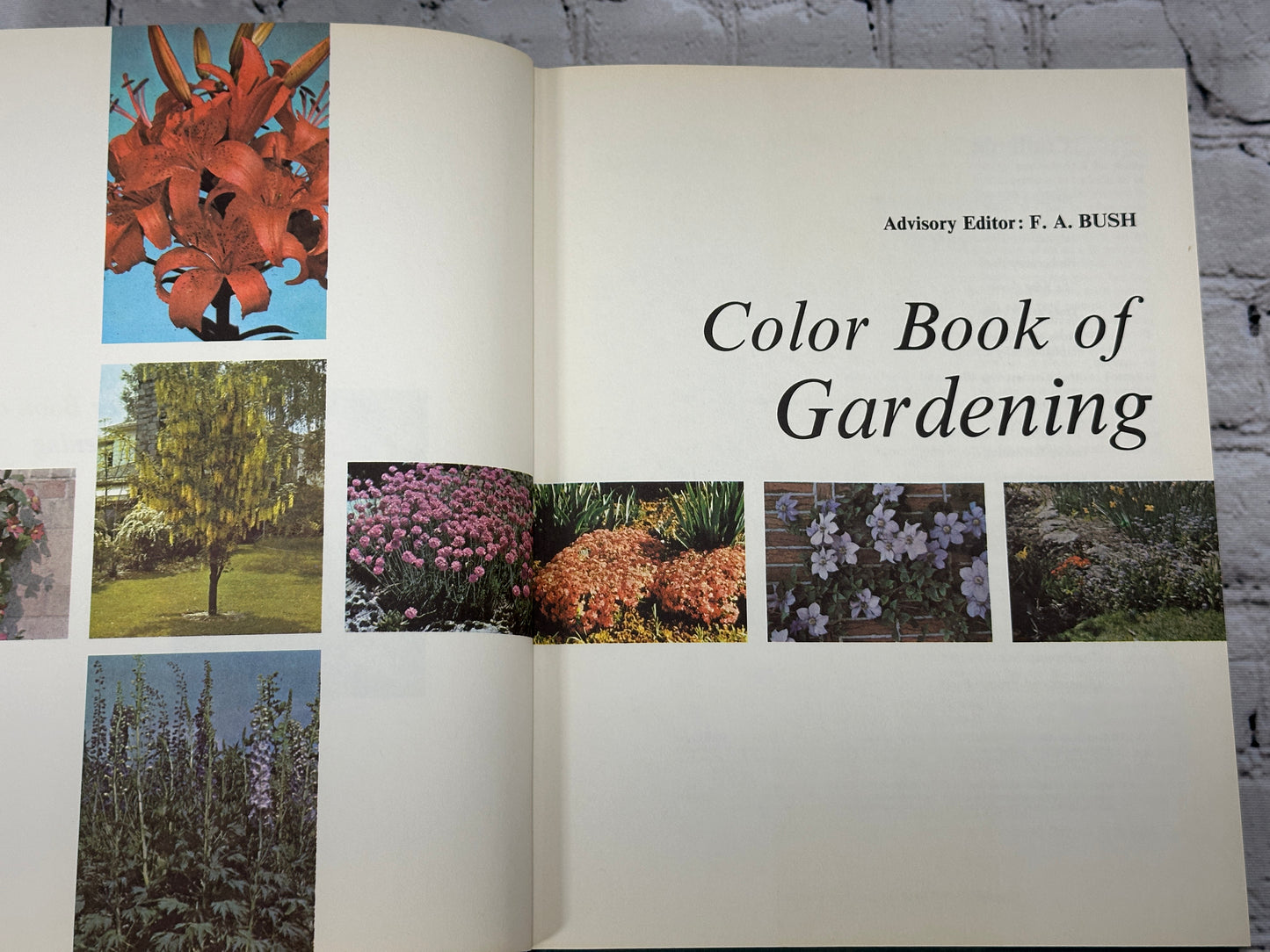 Color Book of Gardening by F. A. Bush [1973 · 1st Edition]