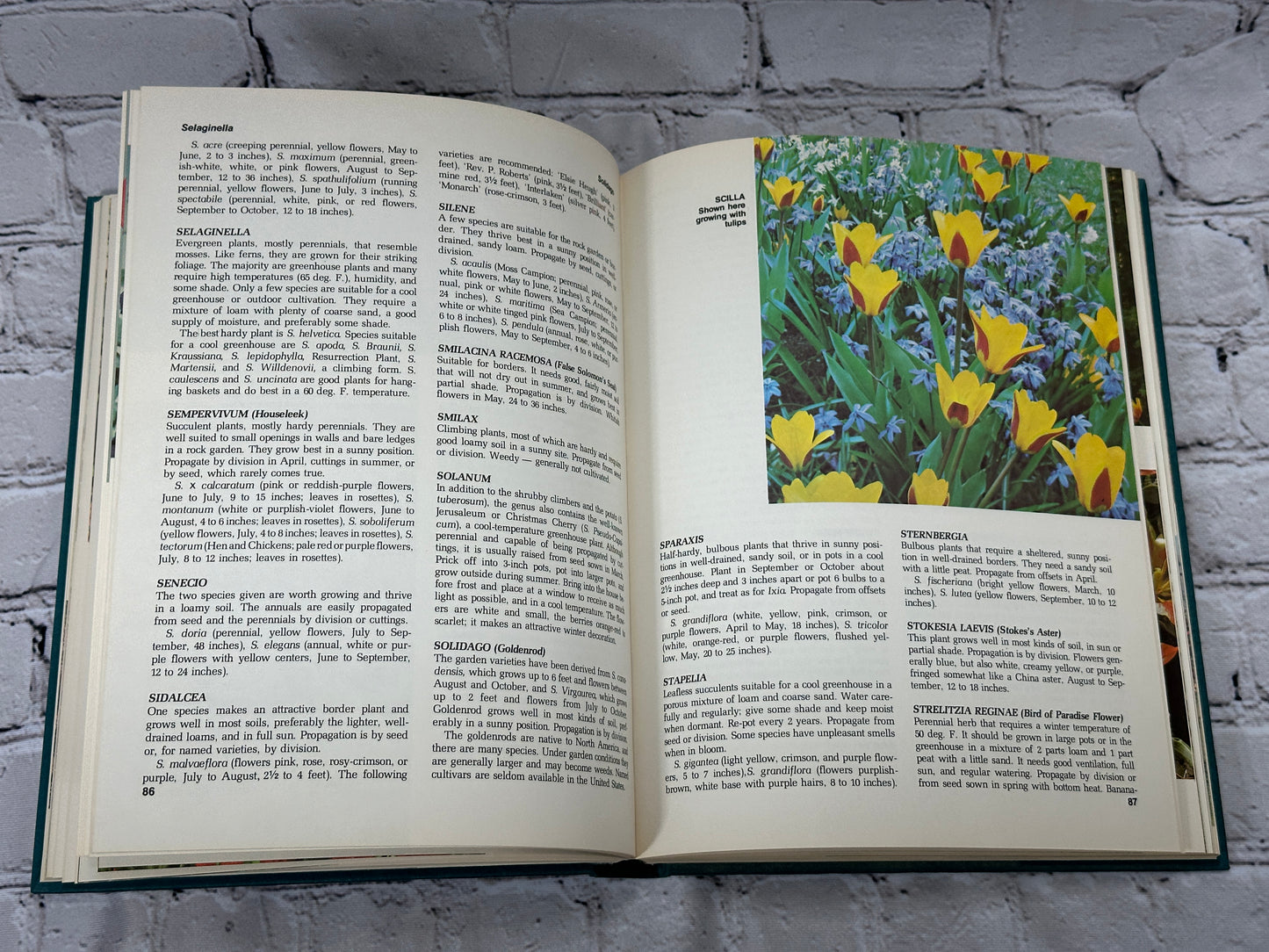 Color Book of Gardening by F. A. Bush [1973 · 1st Edition]