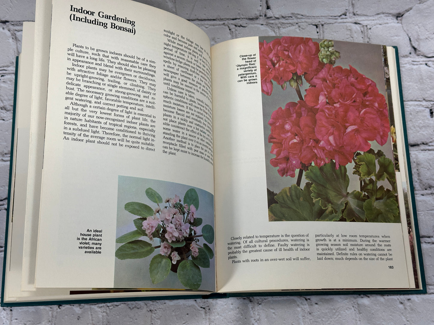 Color Book of Gardening by F. A. Bush [1973 · 1st Edition]