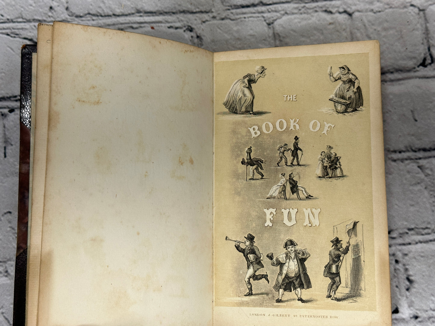 The Book of Fun; or, Laugh and Learn for Boys and Girls [1800s · James Gilbert]