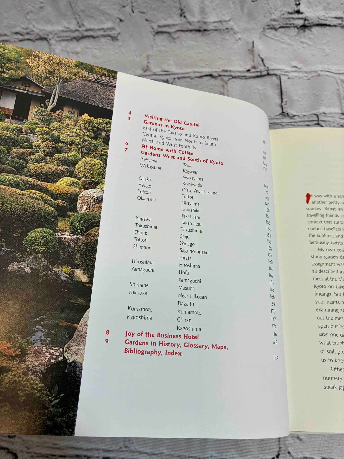The Lure of the Japanese Garden