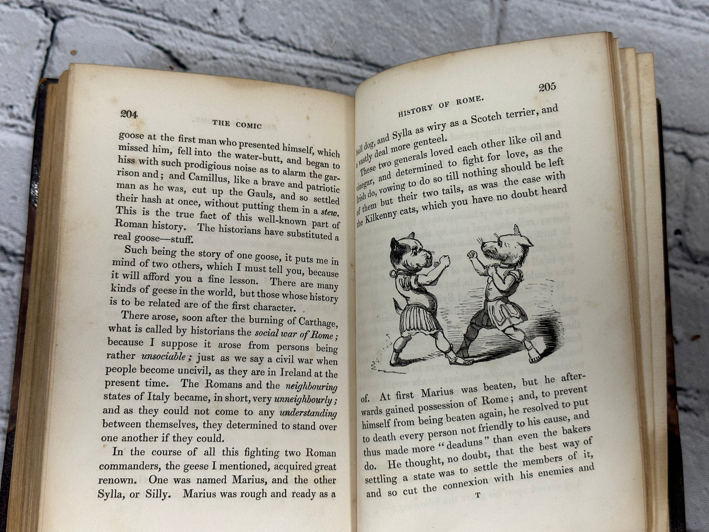 The Book of Fun; or, Laugh and Learn for Boys and Girls [1800s · James Gilbert]