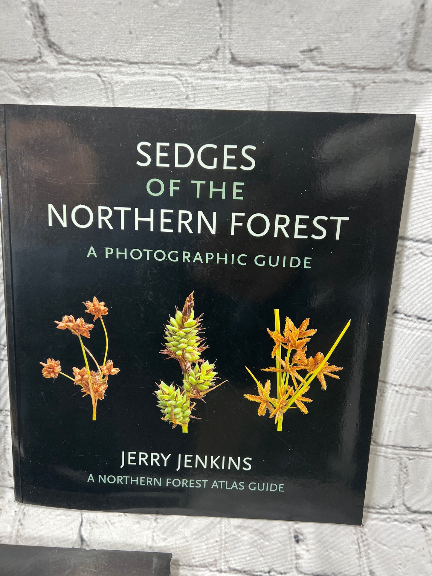 Jerry Jenkins Northern Forest A Photographic Guide [Lot of 3 Books · 1st Editions · 2018-2020]