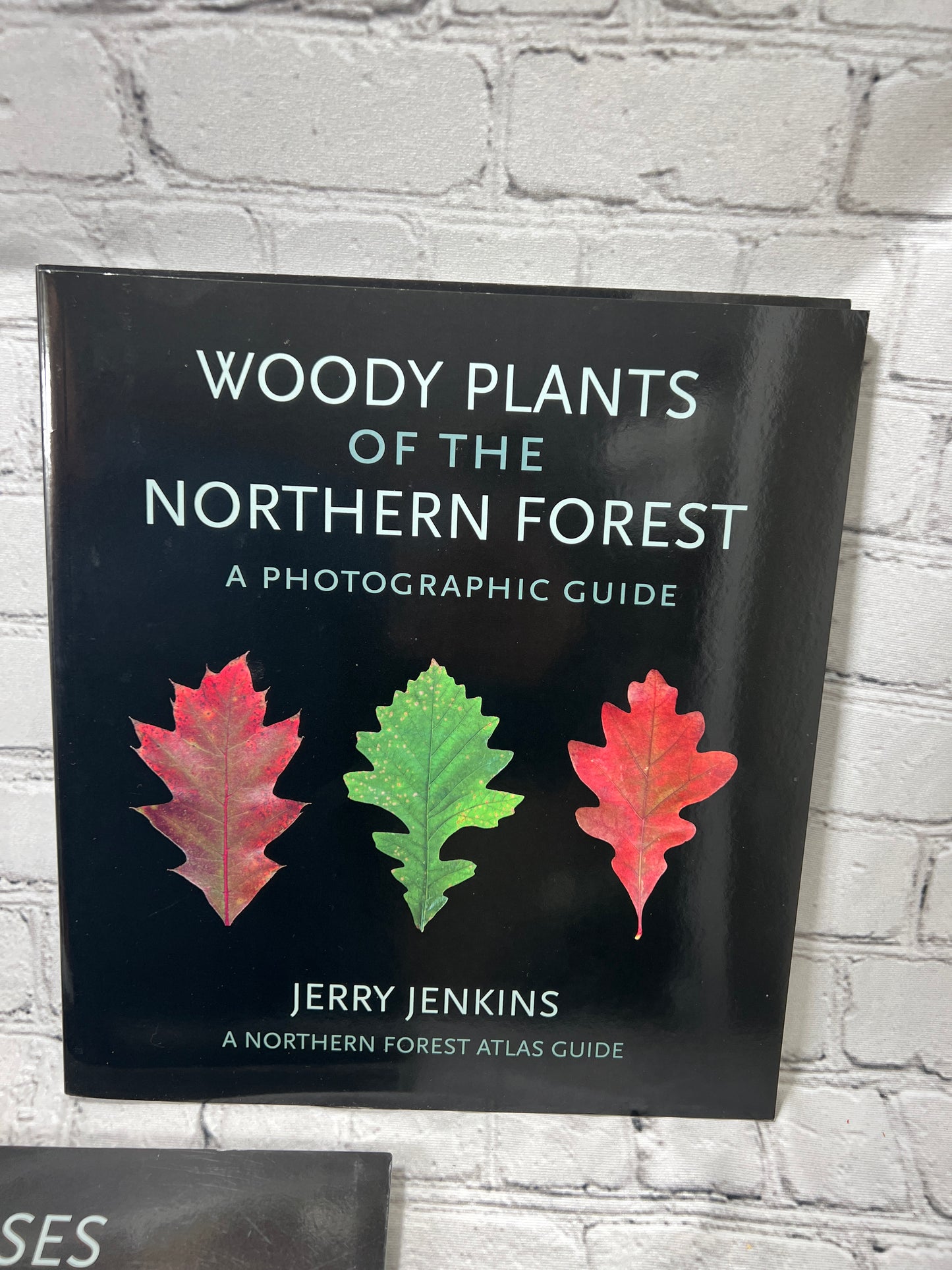 Jerry Jenkins Northern Forest A Photographic Guide [Lot of 3 Books · 1st Editions · 2018-2020]