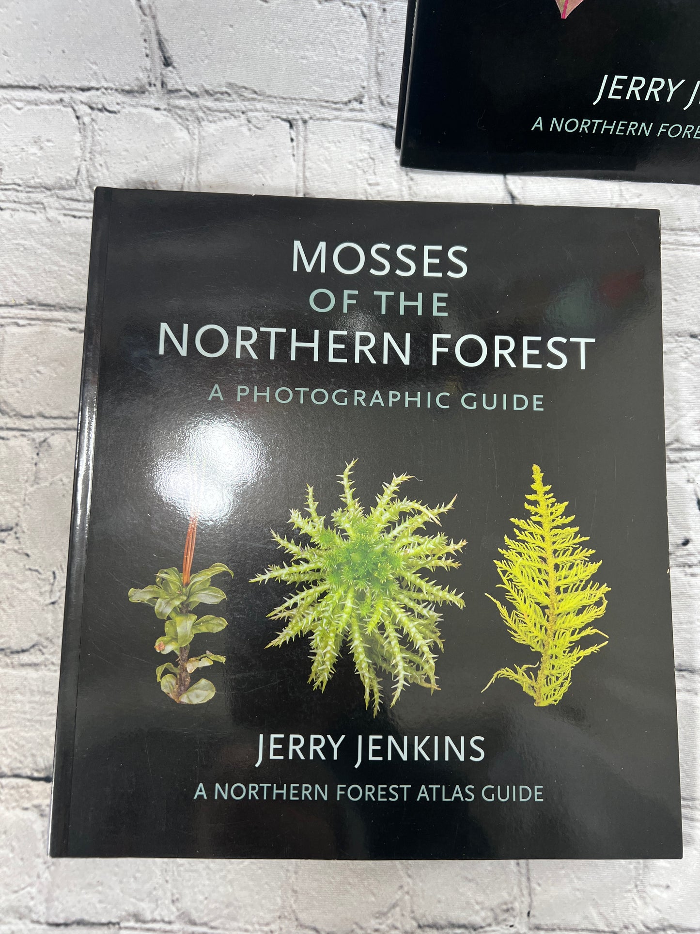 Jerry Jenkins Northern Forest A Photographic Guide [Lot of 3 Books · 1st Editions · 2018-2020]