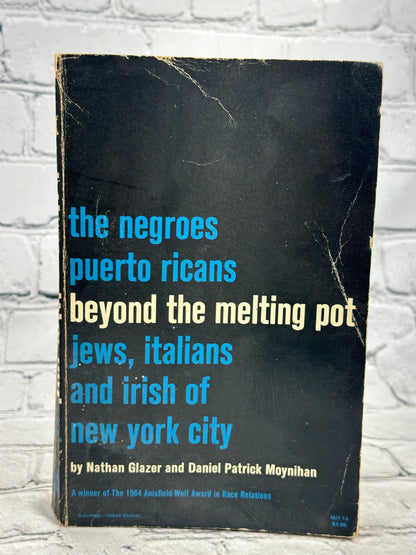 Beyond the Melting Pot: Negroes, Puerto Ricans, Jews, Italians, & Irish of NYC