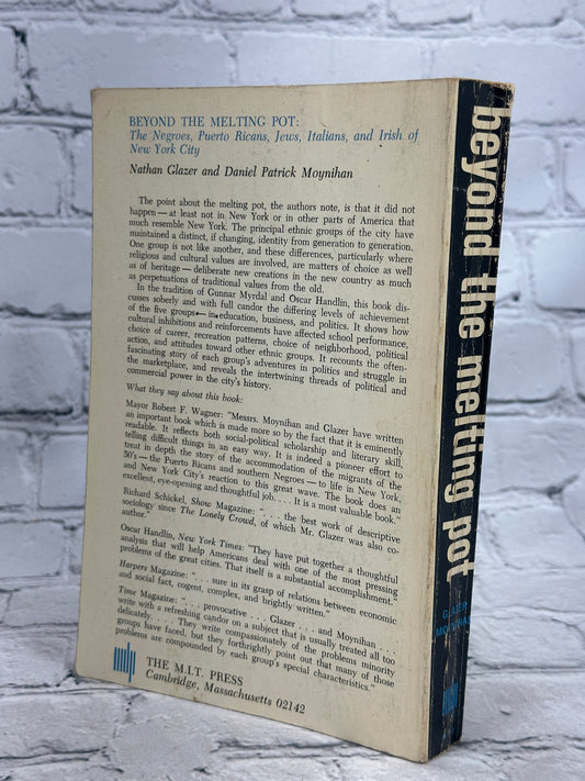 Beyond the Melting Pot: Negroes, Puerto Ricans, Jews, Italians, & Irish of NYC