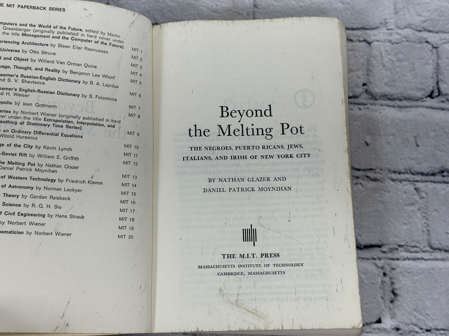 Beyond the Melting Pot: Negroes, Puerto Ricans, Jews, Italians, & Irish of NYC